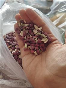 لوبیاقرمز