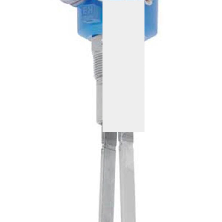 FTM260-N4C ENDRESSHAUSER سوئیچ حد مجاز سطح