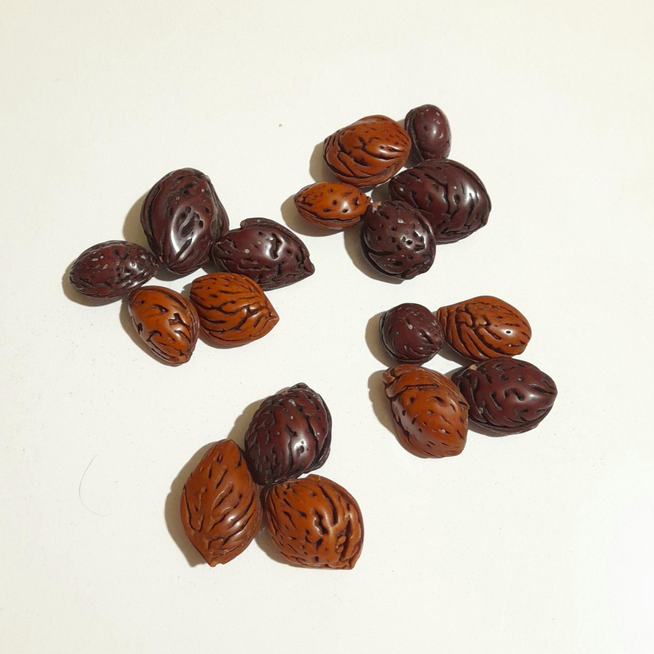 خرجکار بادام براق