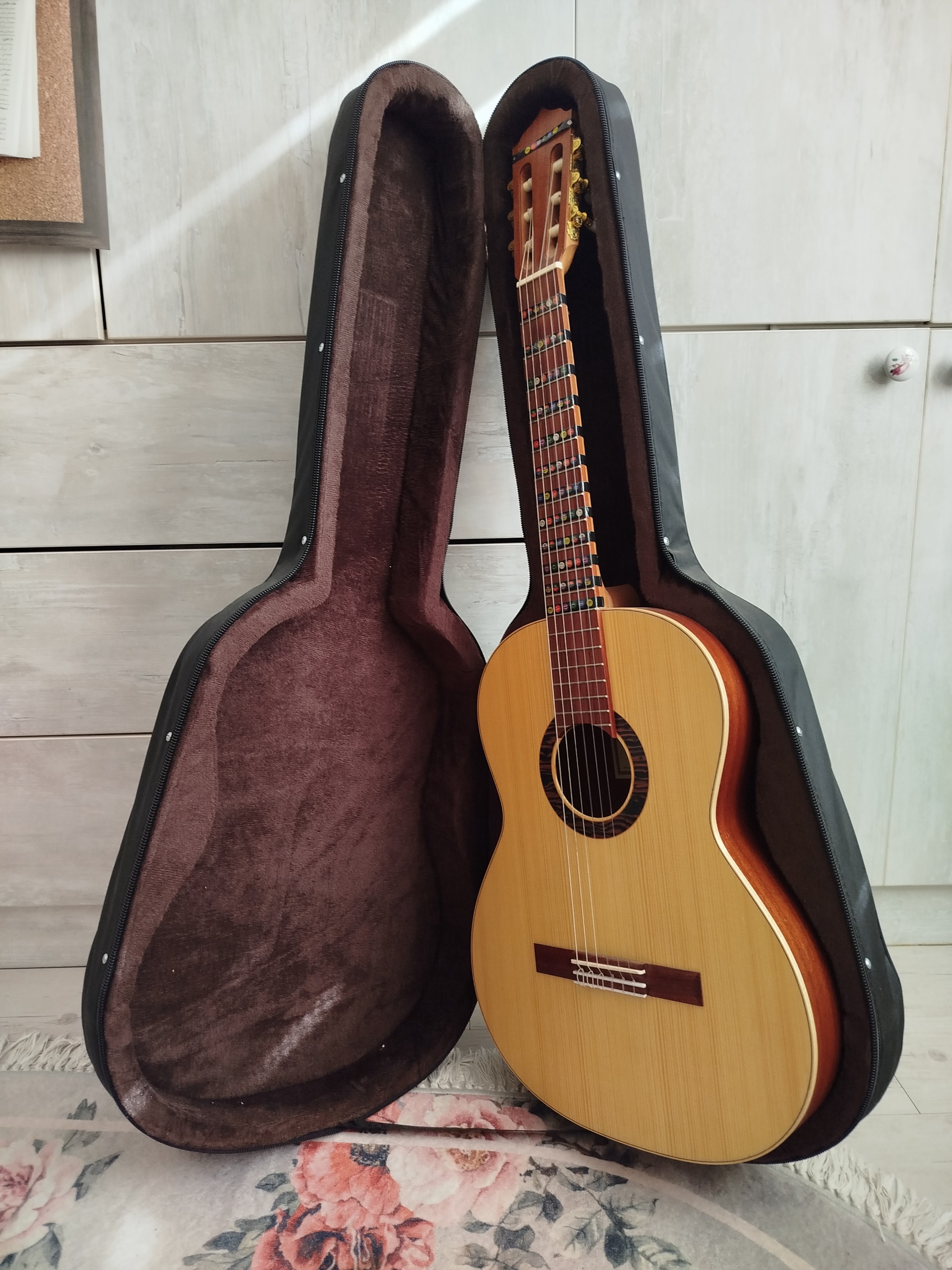 گیتار دوستی مدل 010 با کیس