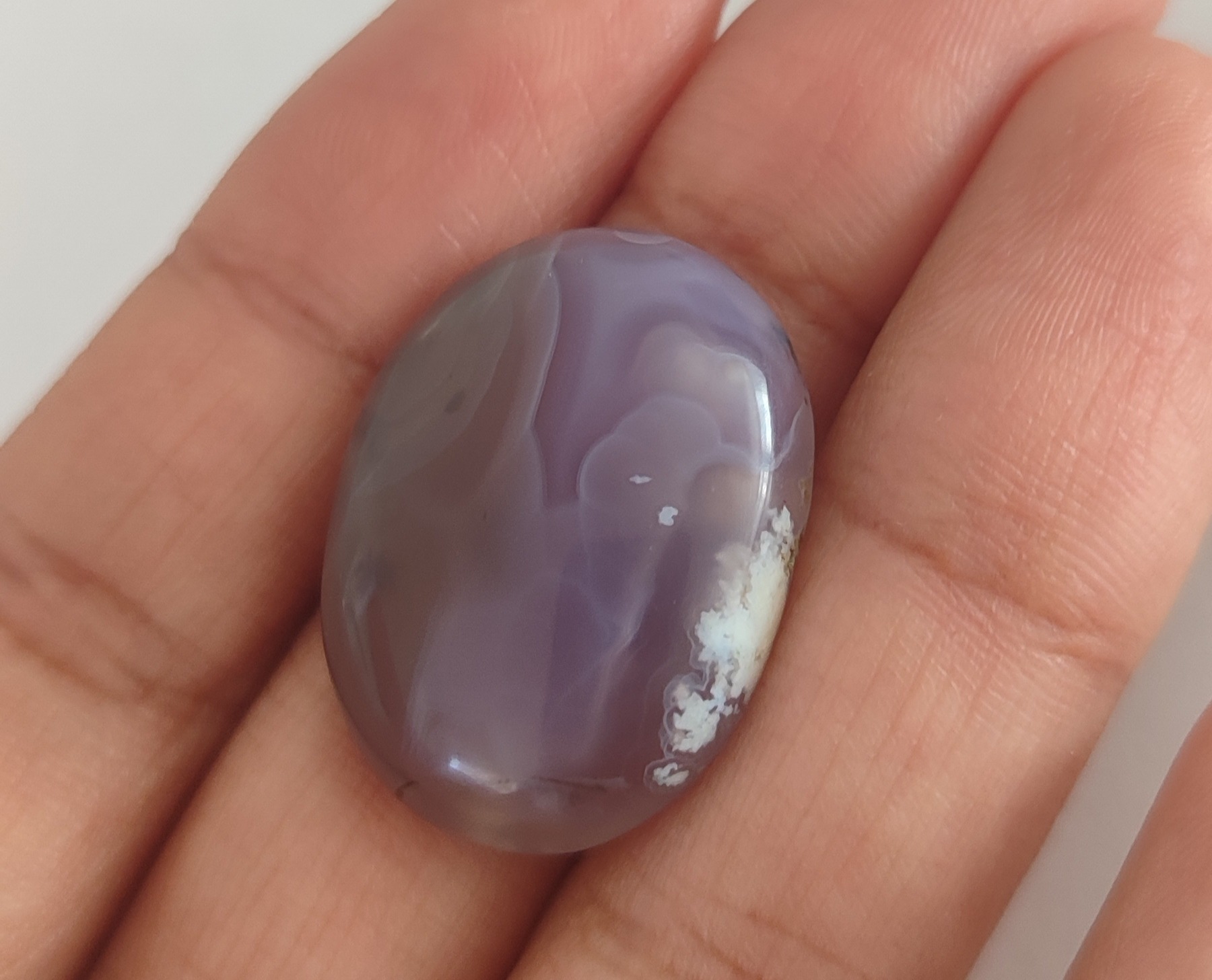 شجر سوسنی و قهوه ای بدون بهسازی