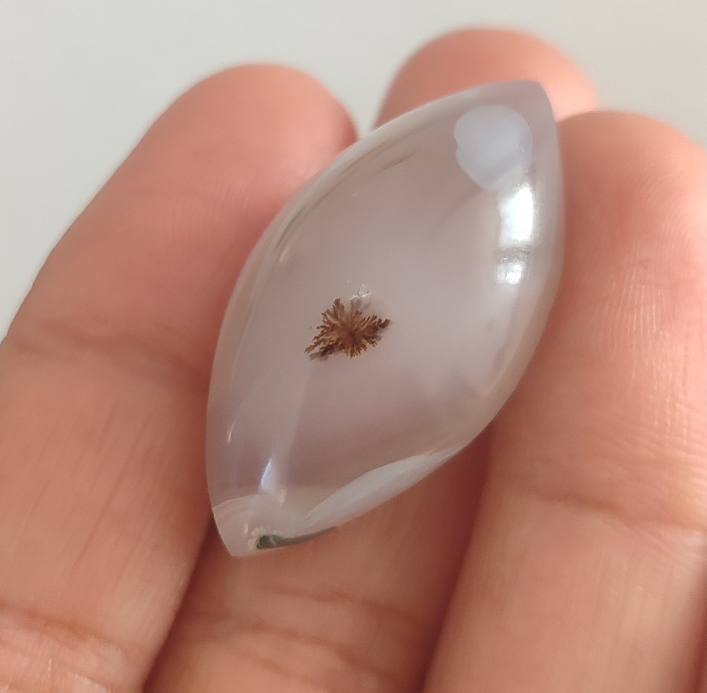 نگین شجر مارکیز یک کار خاص