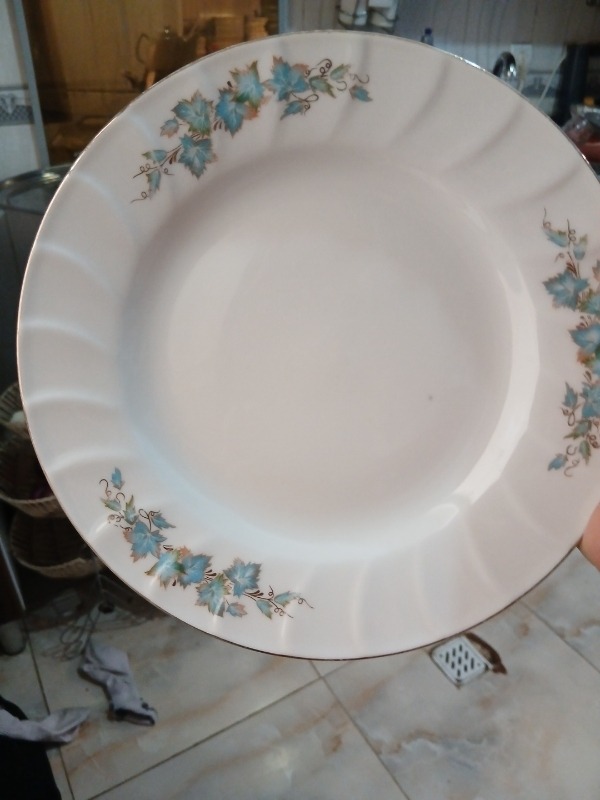 بشقاب میوه خوری چینی زرین در حد نو