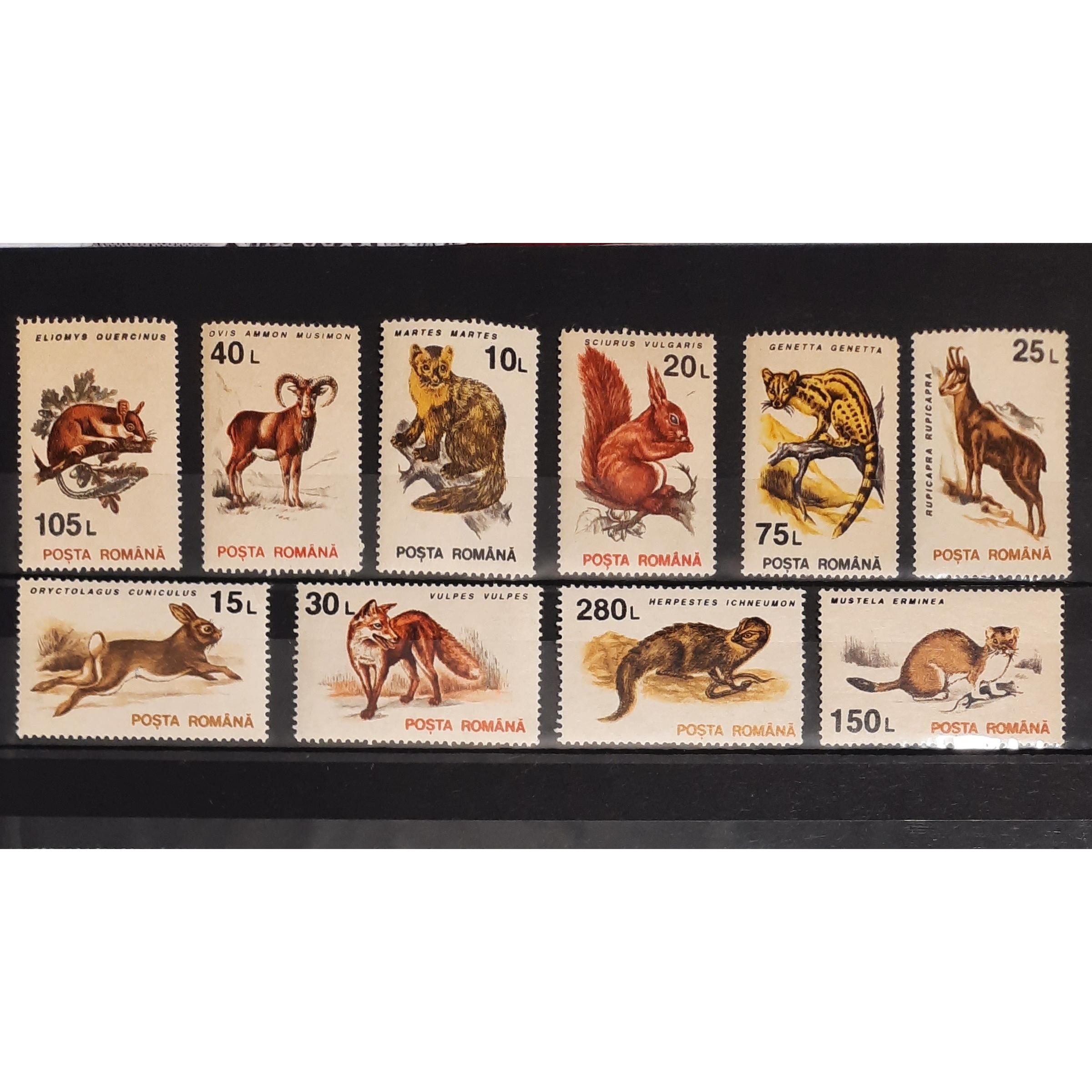 سری زیبای حیات وحش رومانی