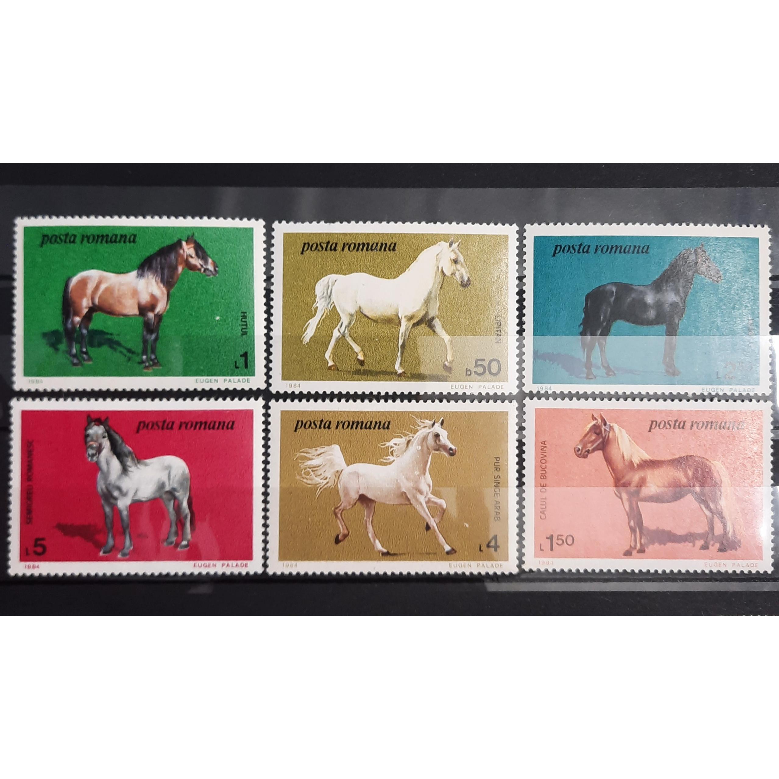 آیتم حیات وحش رومانی