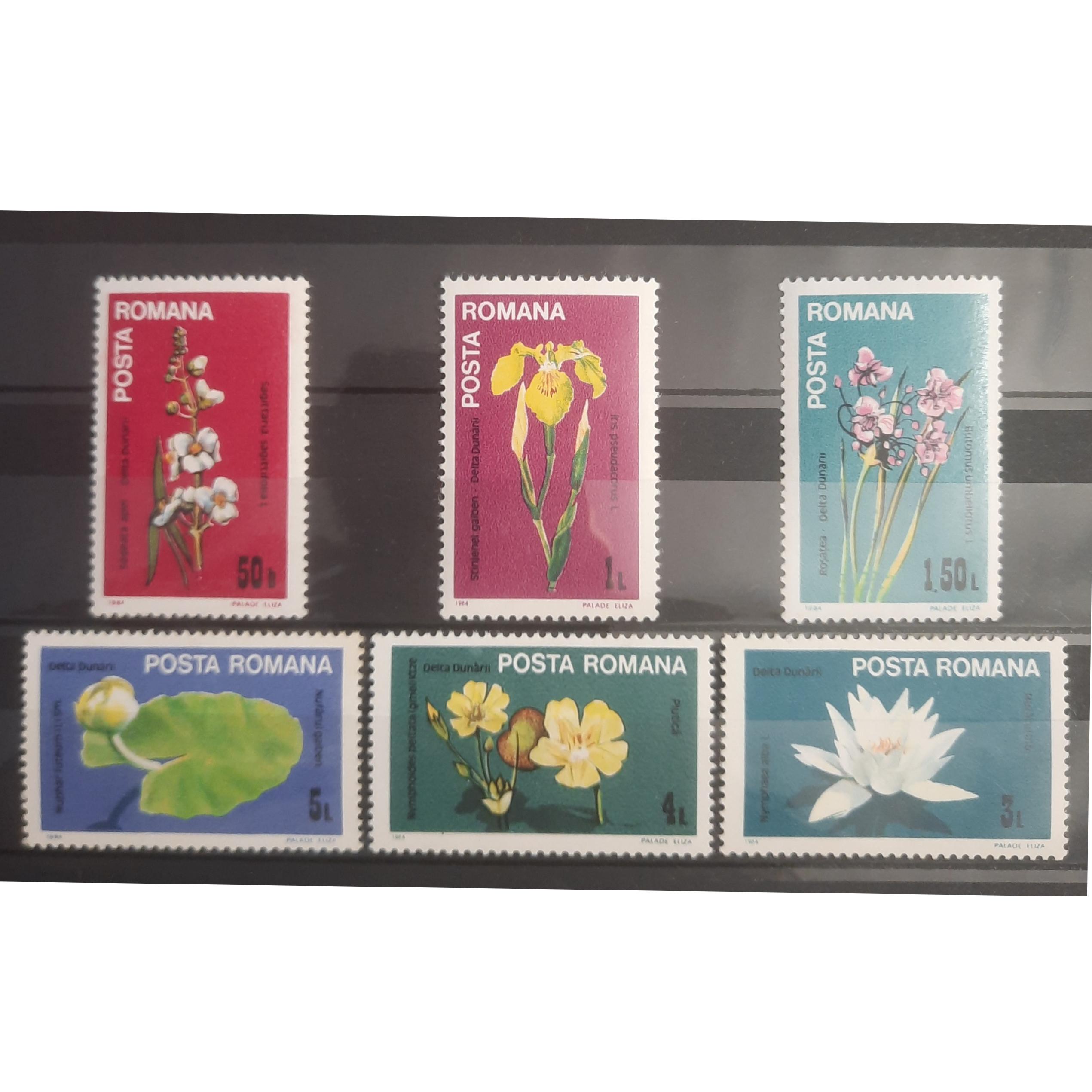 آیتم طبیعت رومانی تمبر گل