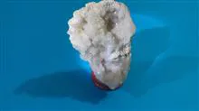 ژئود