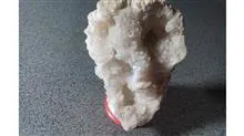 ژئود