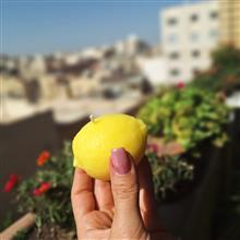 شمع