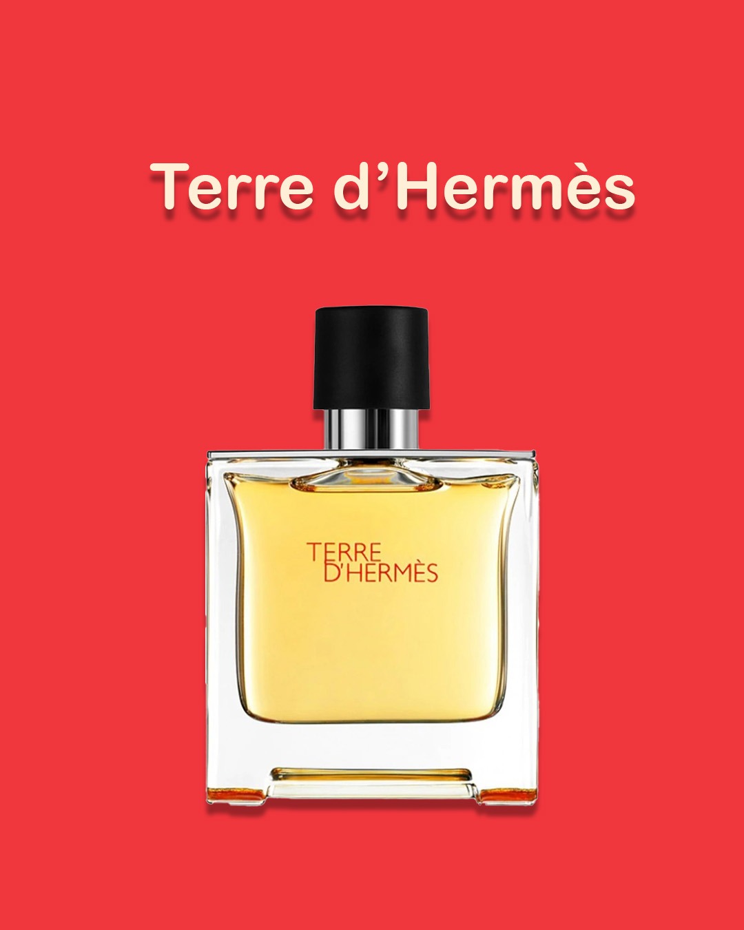 ادکلن مردانه برند Terre d Hermes اورجینال
