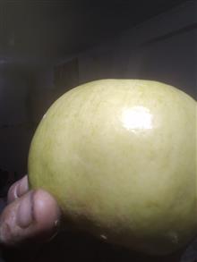 بهع