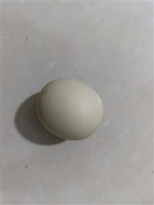 سنگ