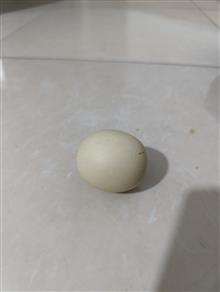 سنگ