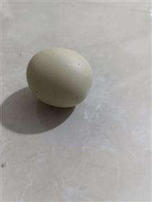سنگ