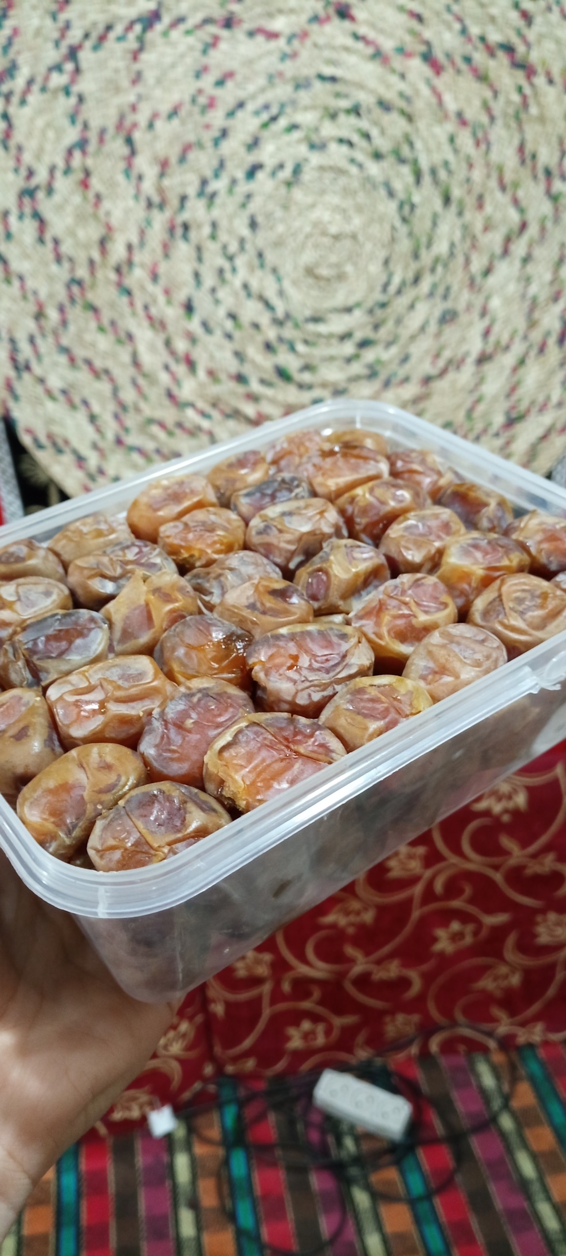 خرما برحی اعلاء وزن 1 کیلویی برداشت 1404