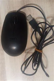 ماوس