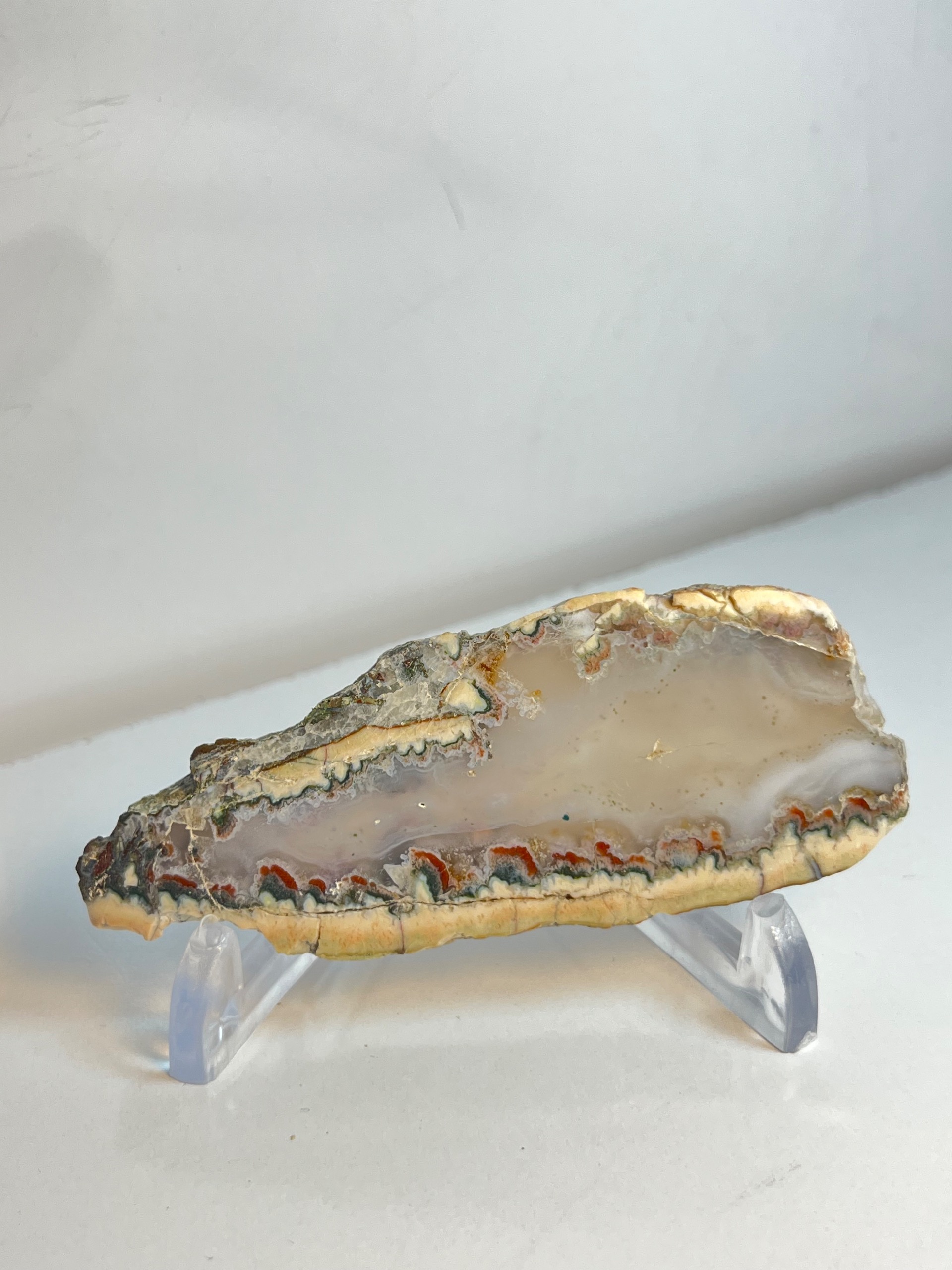 راف کلکسیونی پولیش