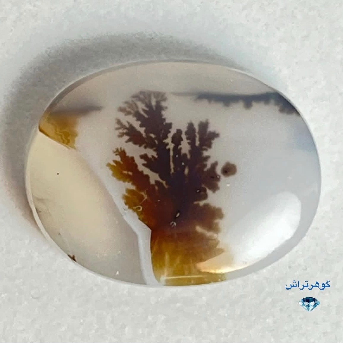 عقیق شجر قائنات