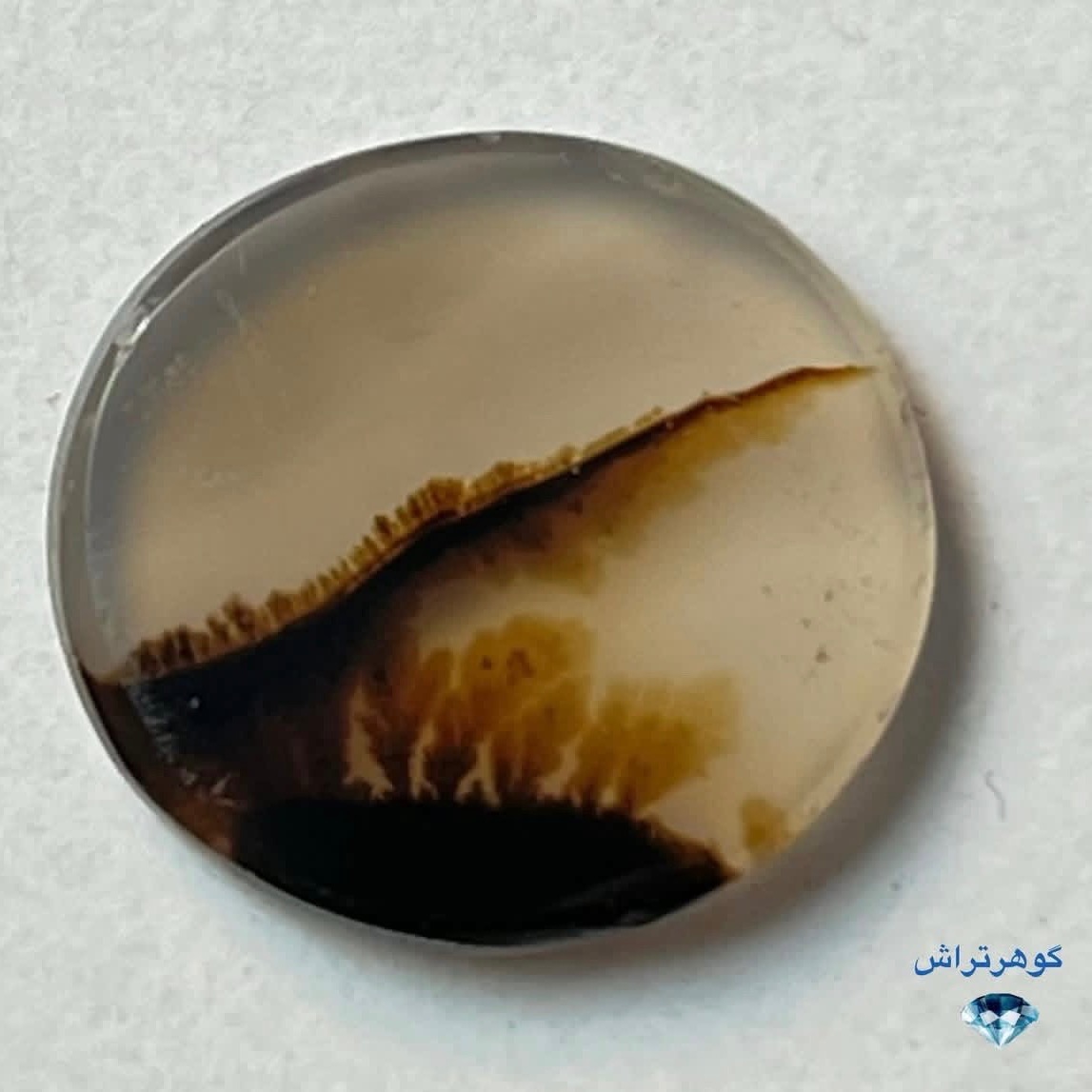 شجر منظره قاین