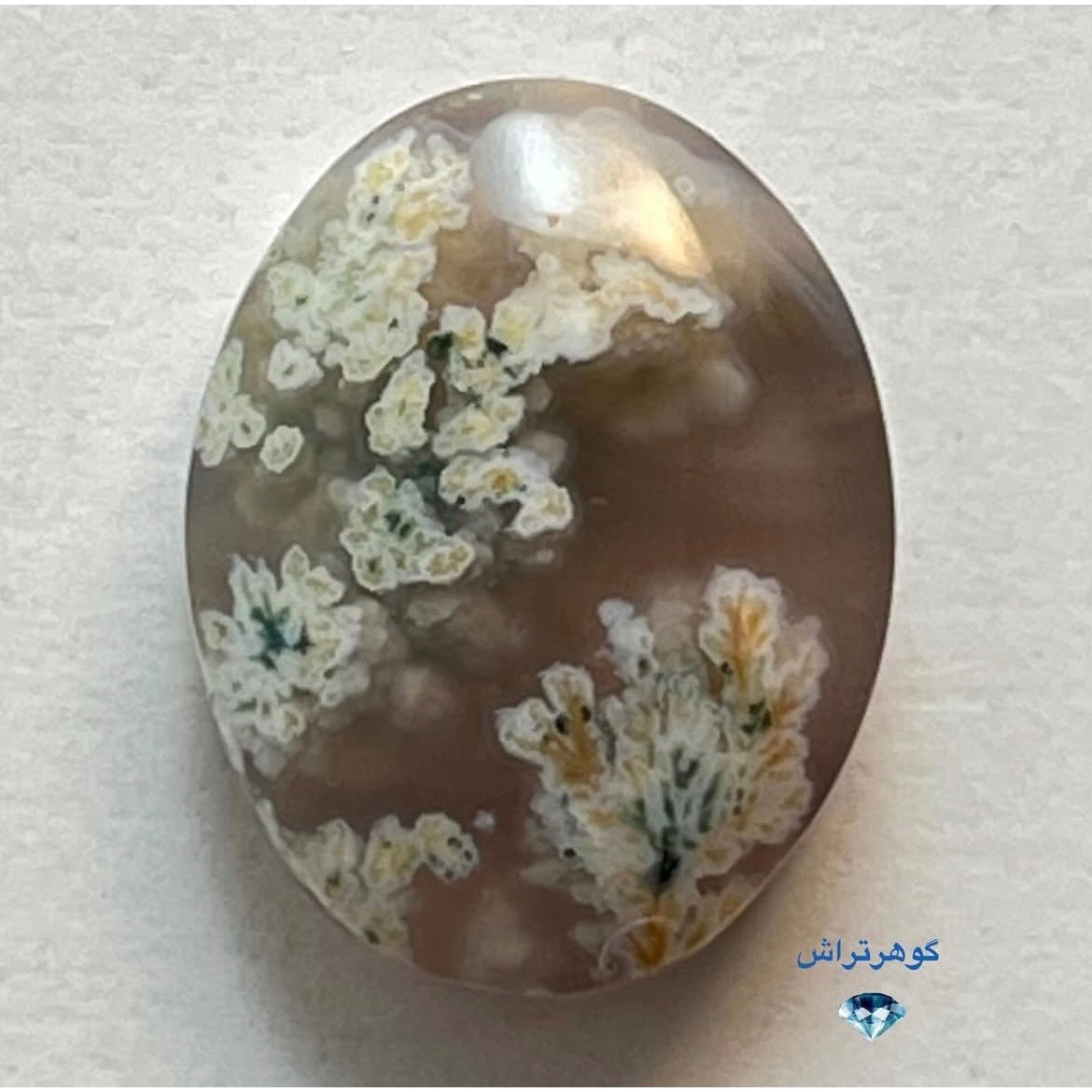 نگین شجر بهاره