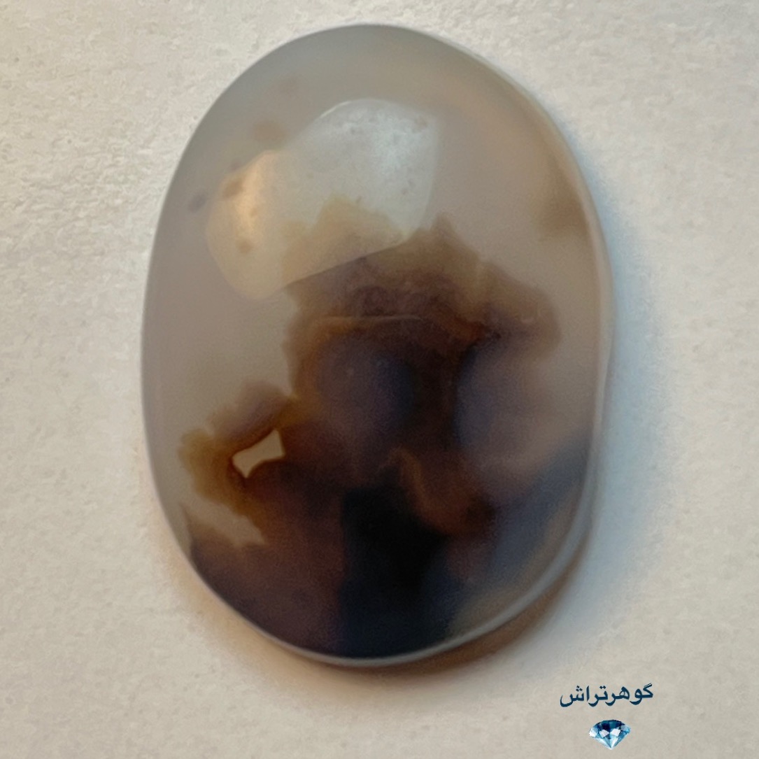 شجر قاین زیبا