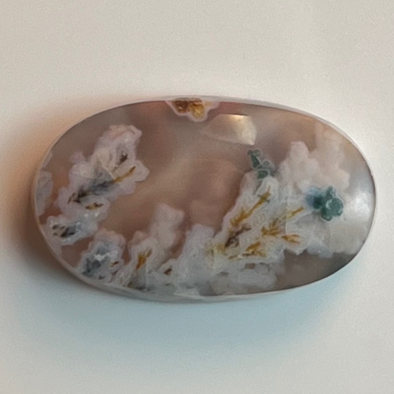 نگین شجر بهاره