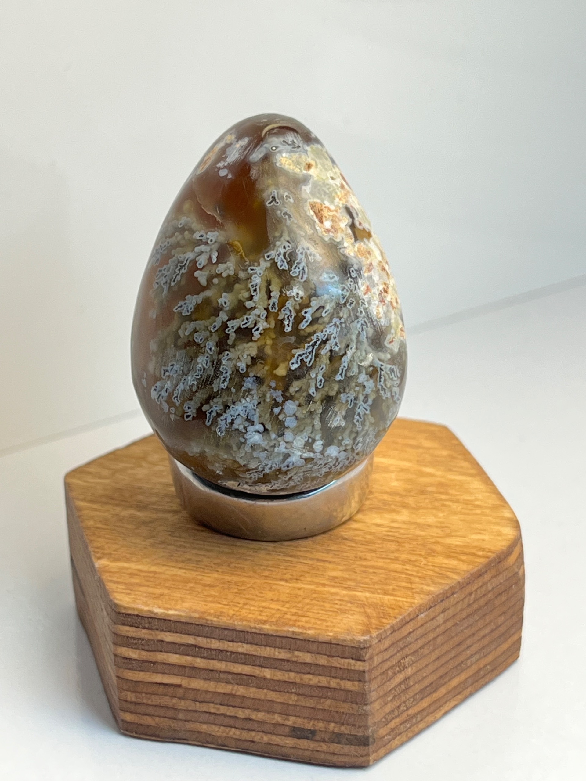 شجر تراش تخم مرغی