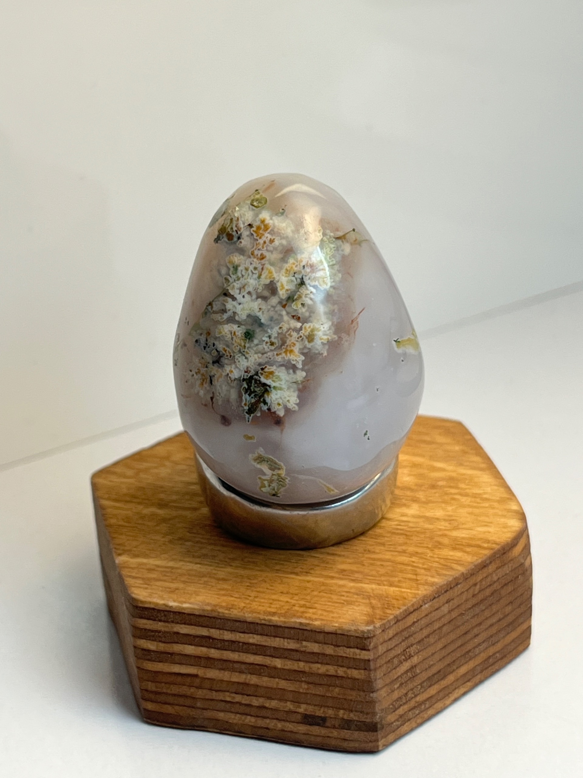 شجر بهاره کلکسیونی