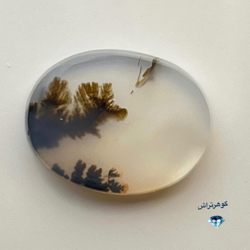 شجر طبیعی قاین