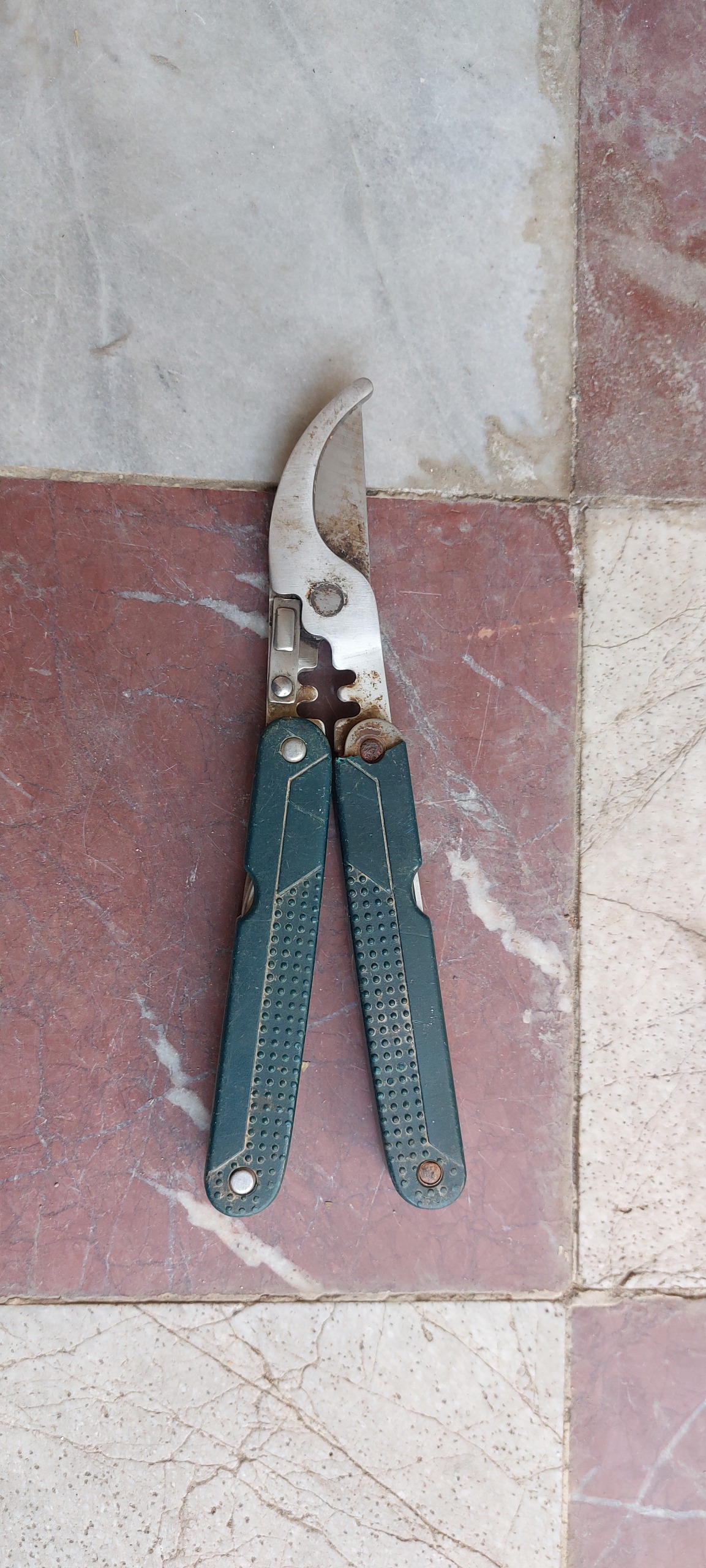 قیچی باغبانی همه کاره