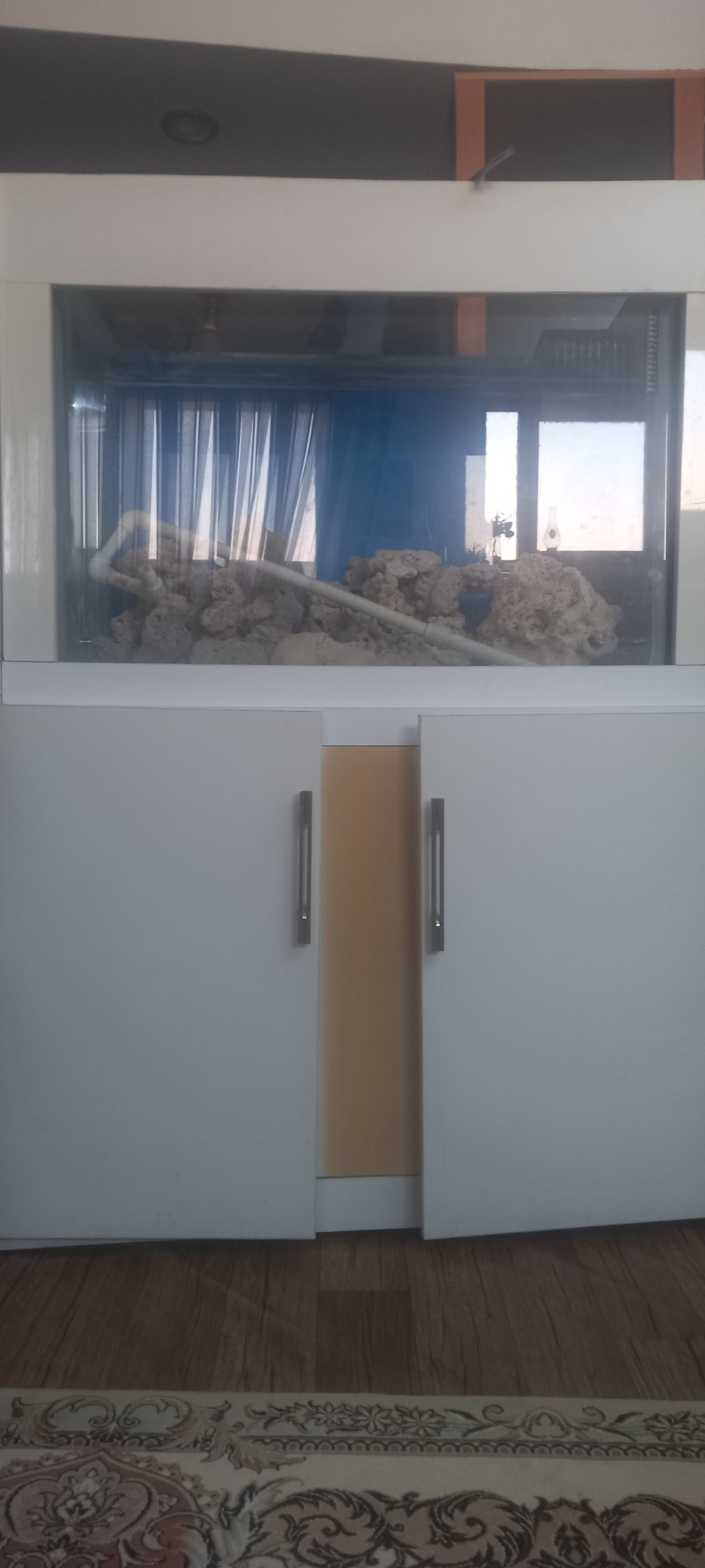 اکواریوم آبشور آماده بکار