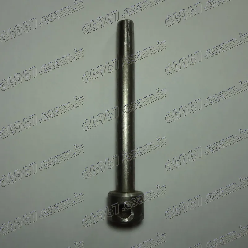 لول فنر کرال