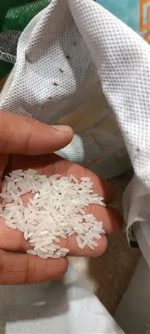 برنج