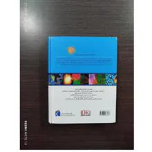 دایره