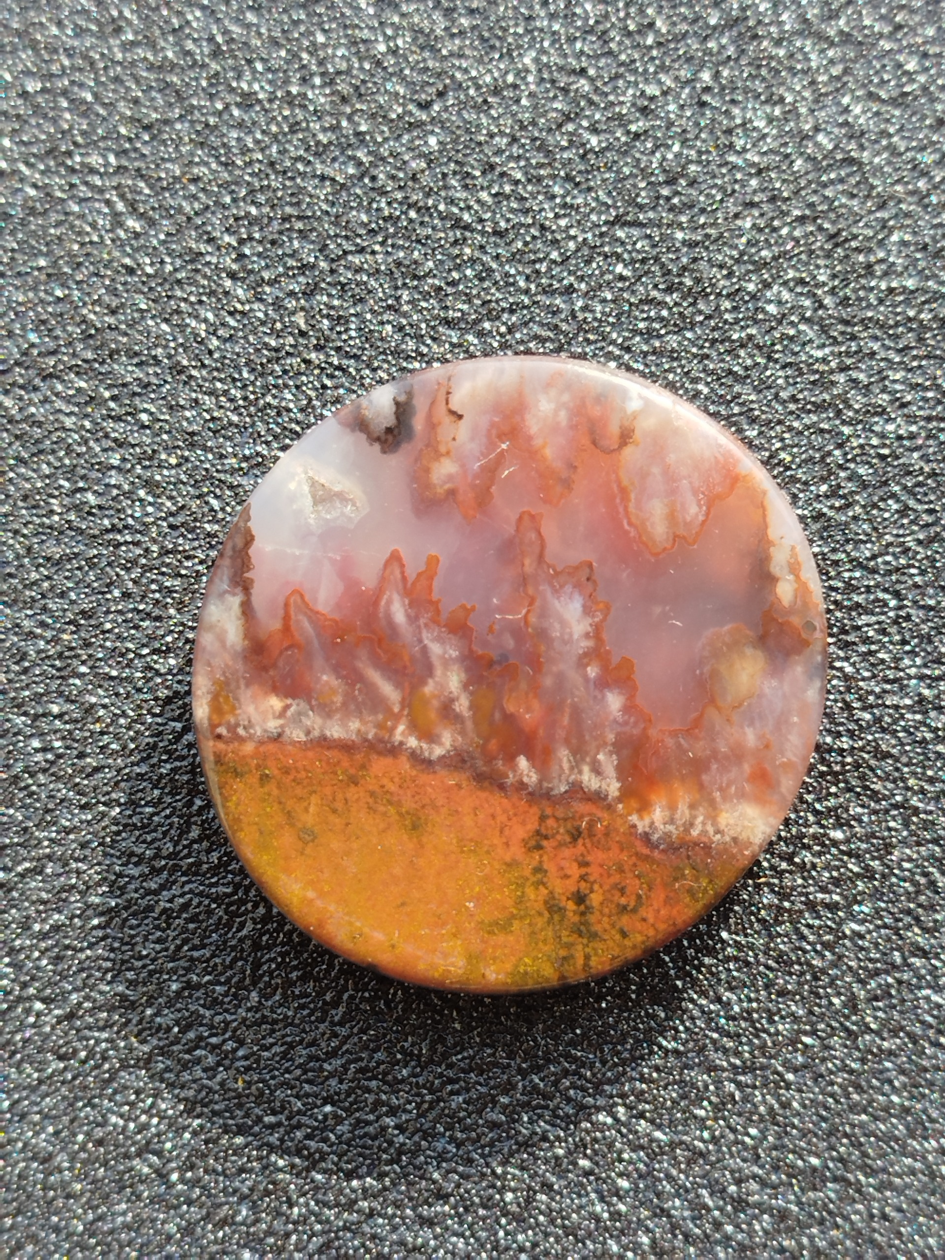 نگین شجر منظره ای پاییزی