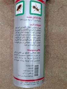 حشره