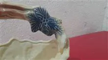 آجیل
