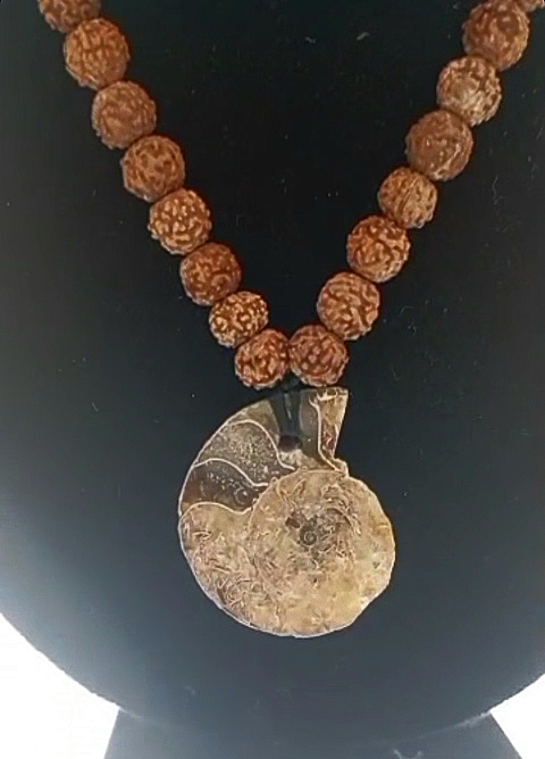 گردنبند فسیل آمونیت