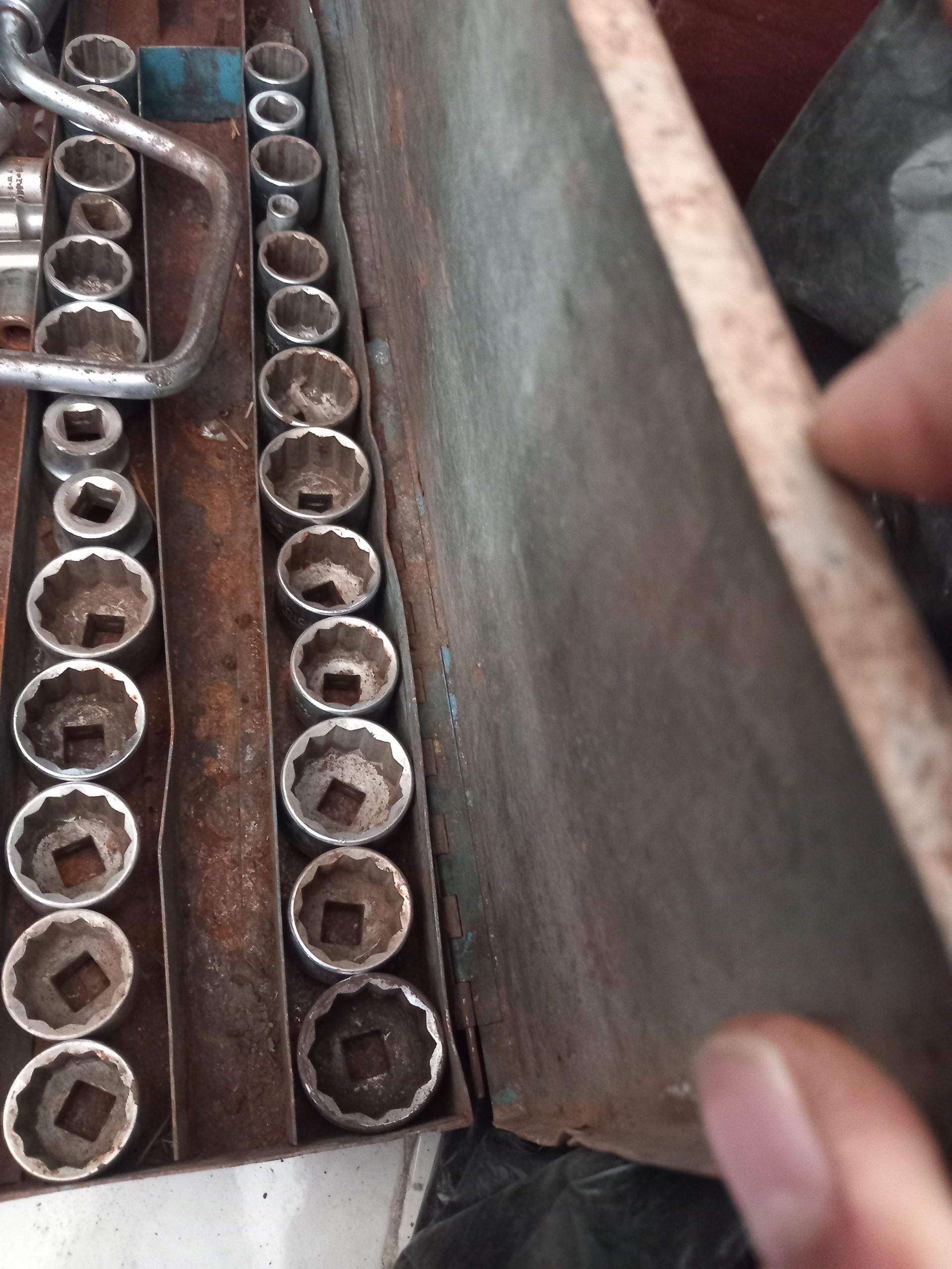 25عدد بوکس کینگ دیک