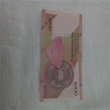 سکه