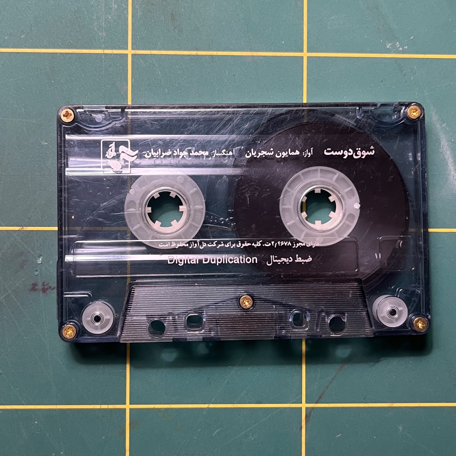 شوق دوست همایون شجریان