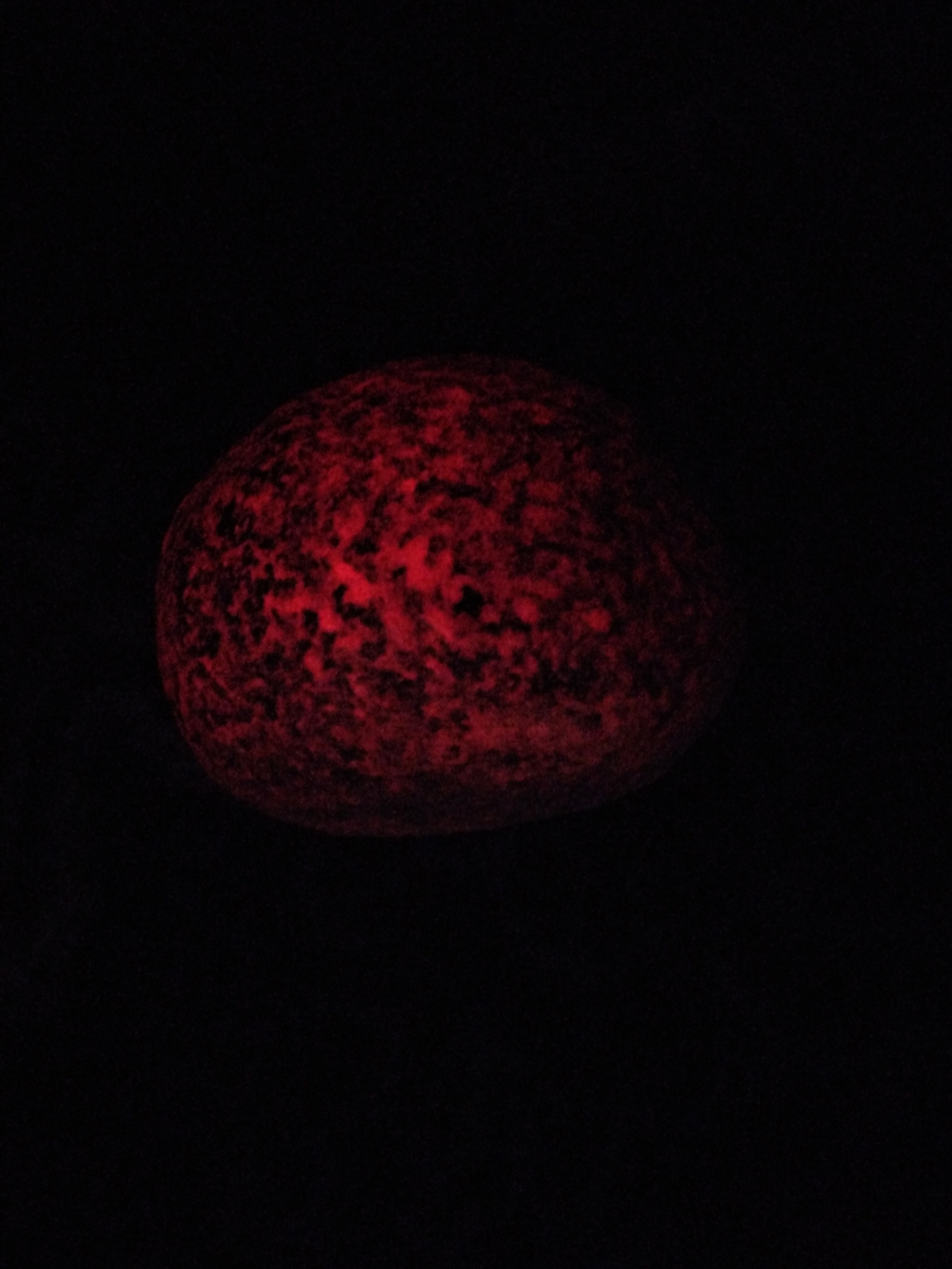 گوهر شب چراغ قرمز
