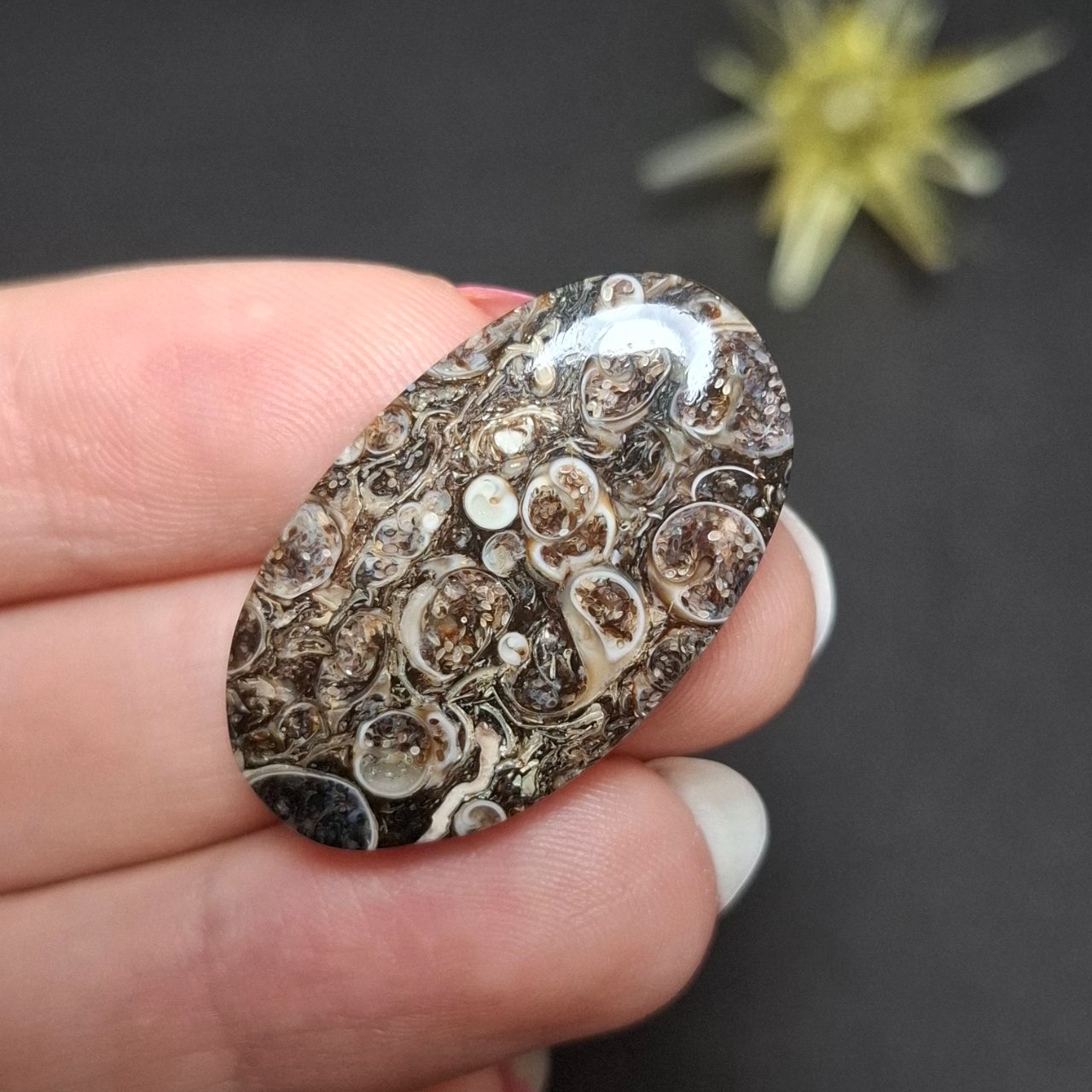 نگین سنگ طبیعی فسیل تورتیلا معدنی  کد 10275