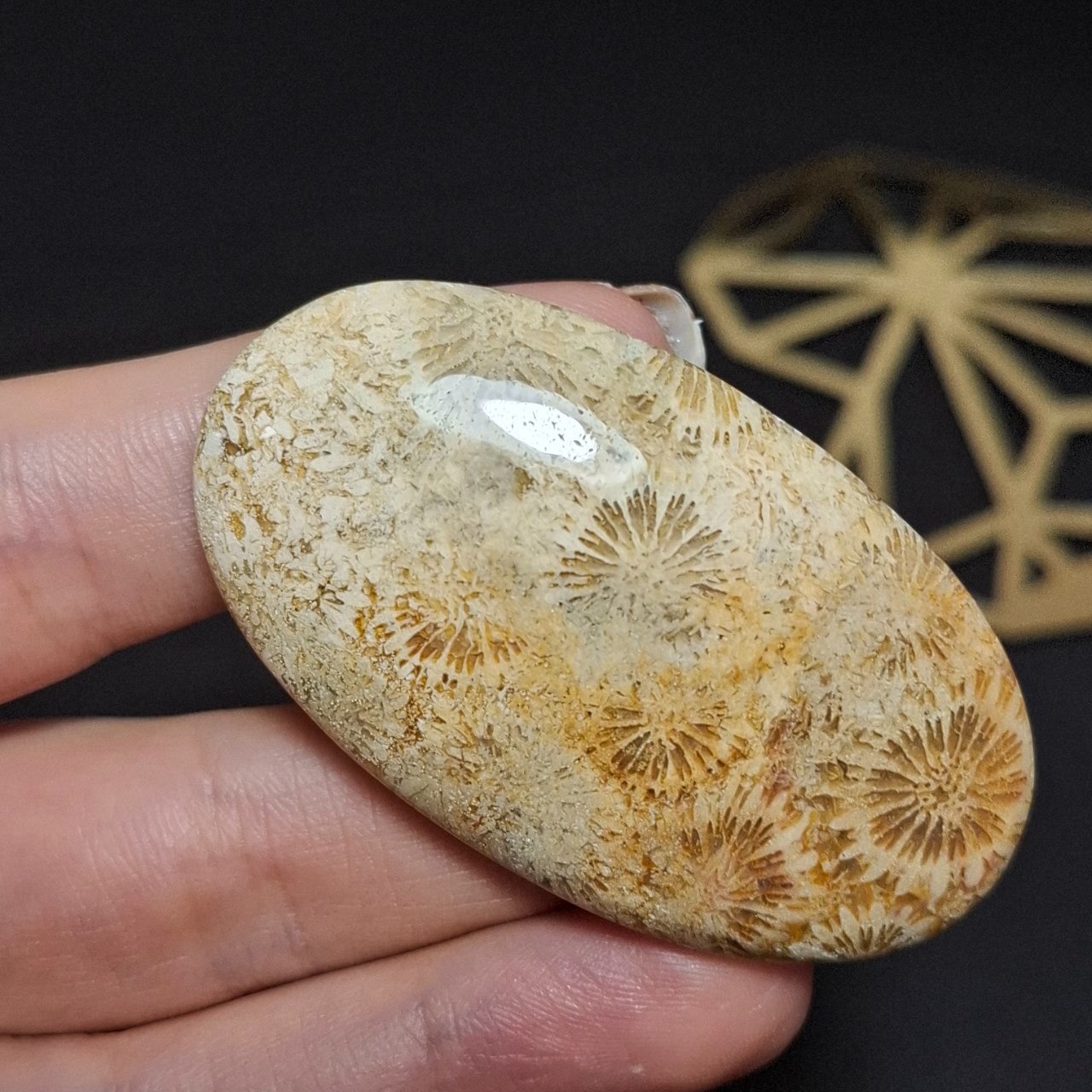 نگین درشت سنگ طبیعی فسیل مرجان معدنی کد 10362