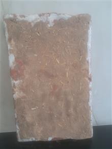 کاشی