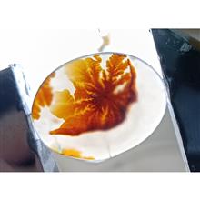 نگین