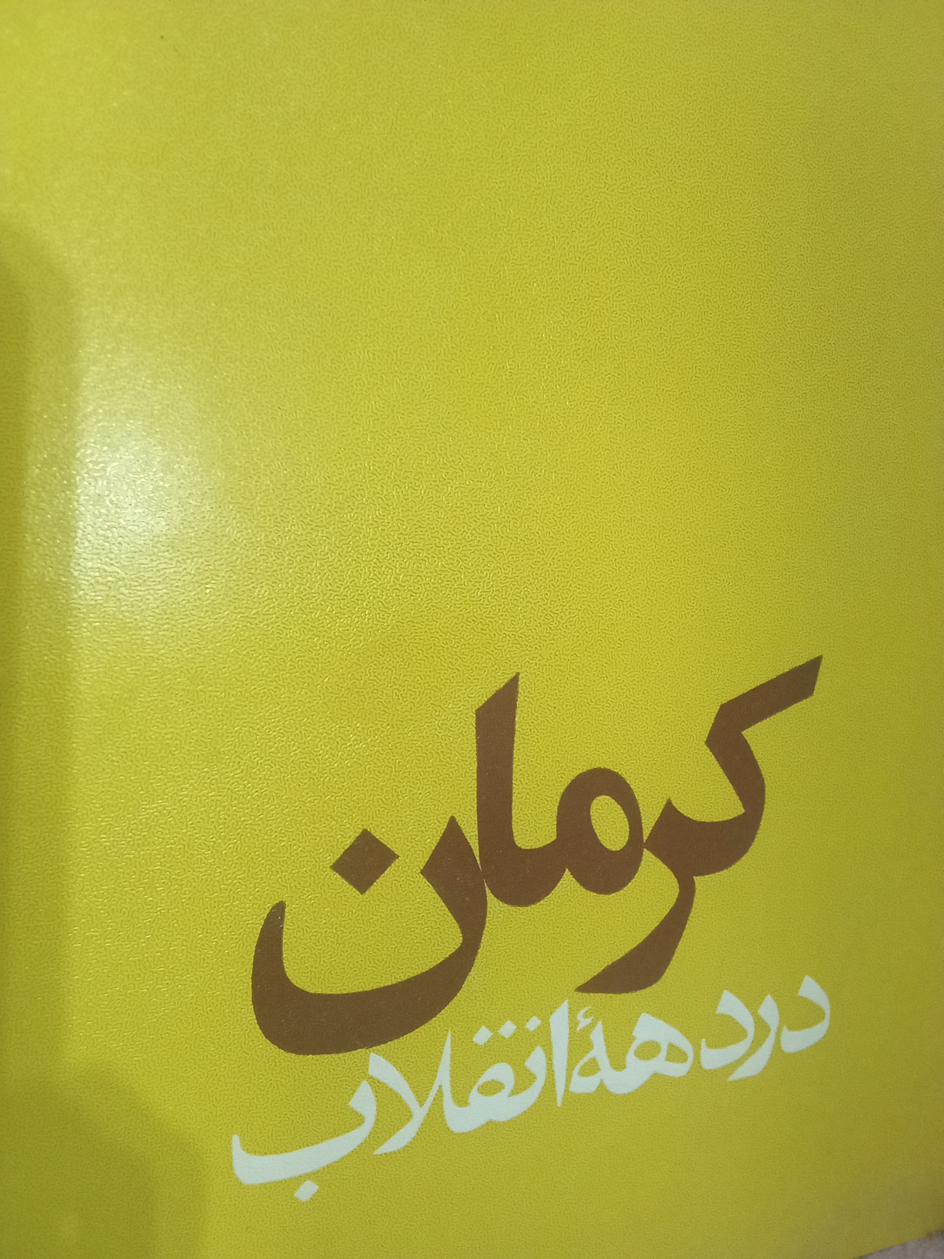 کتاب کرمان در دهه انقلاب