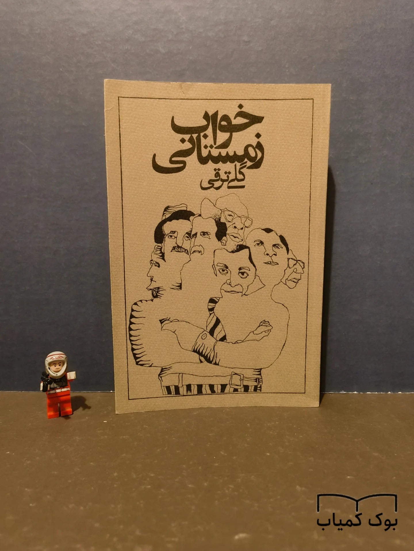 خواب زمستانی گلی ترقی