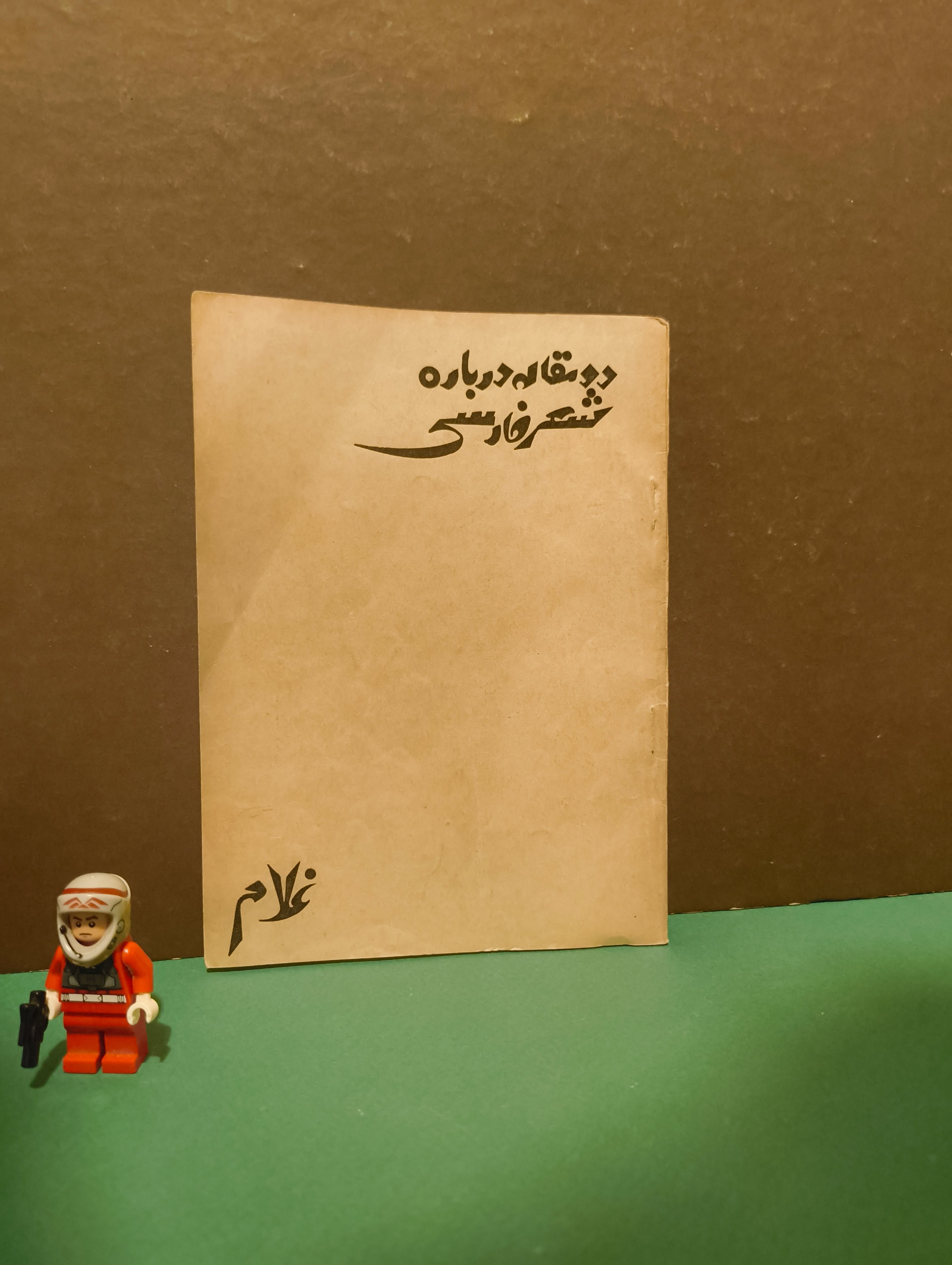 دو مقاله درباره شعر فارسی