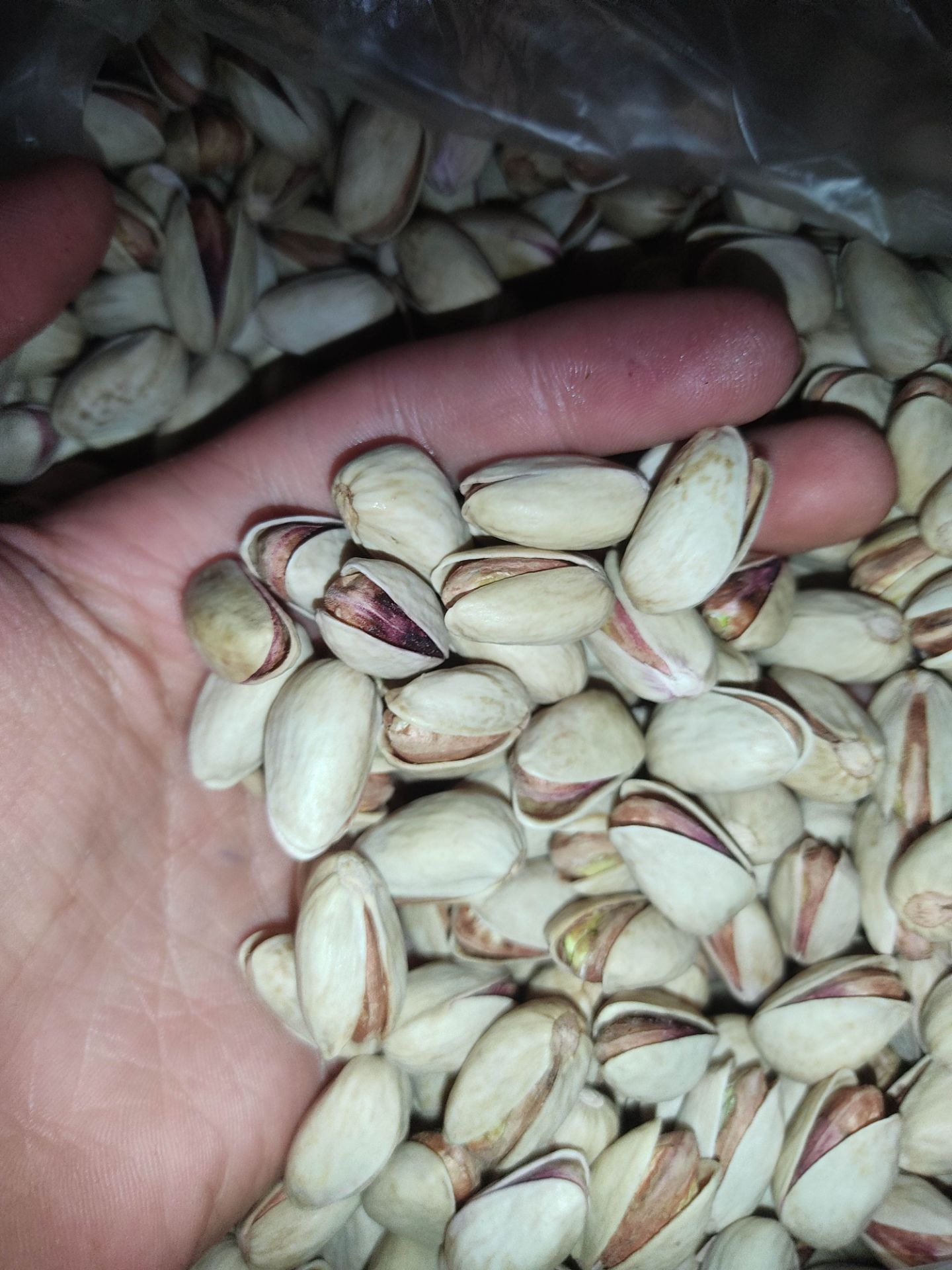 پسته عباسعلی دامغان